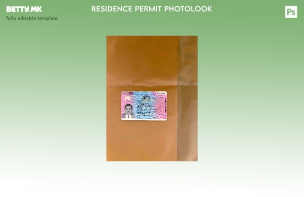 модерен стил Франција Дозвола за престој (Titre de séjour) photolook ПРЕДЕН шабл